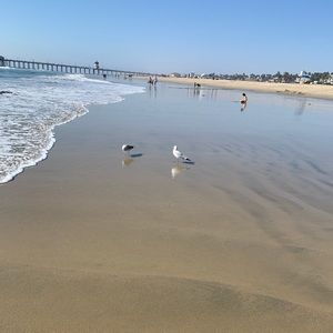 Meet your Posher, Mel